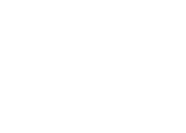 Fortefis Logo